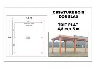 OSSATURE DOUGLAS TOIT PLAT