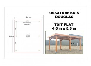 OSSATURE DOUGLAS TOIT PLAT