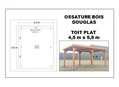 OSSATURE DOUGLAS TOIT PLAT