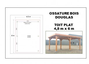 OSSATURE DOUGLAS TOIT PLAT