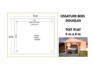 OSSATURE DOUGLAS TOIT PLAT