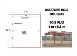 OSSATURE DOUGLAS TOIT PLAT