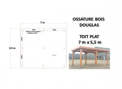 OSSATURE DOUGLAS TOIT PLAT