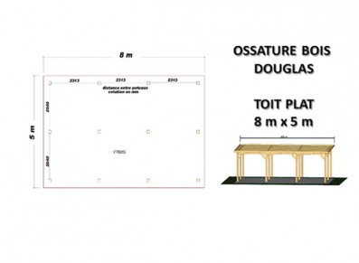 OSSATURE DOUGLAS TOIT PLAT