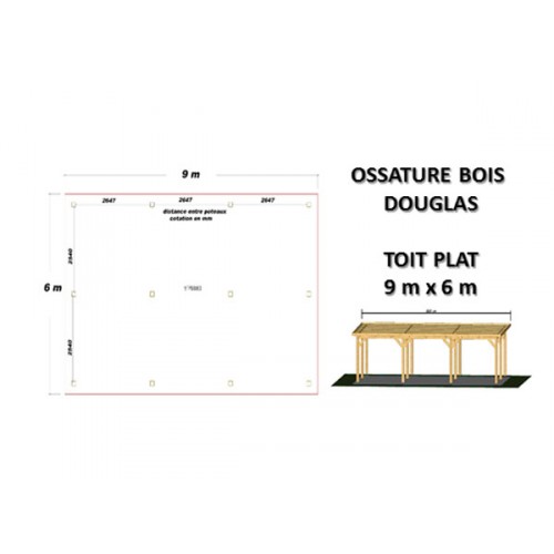OSSATURE BOIS DOUGLAS