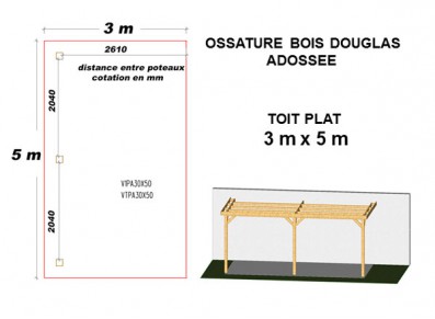 OSSATURE DOUGLAS ADOSSÉE TOIT PLAT