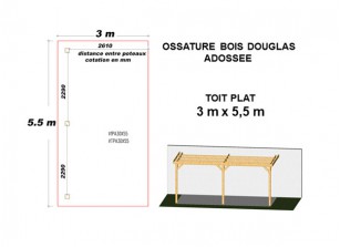 OSSATURE DOUGLAS ADOSSÉE TOIT PLAT