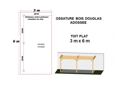 OSSATURE DOUGLAS ADOSSÉE TOIT PLAT