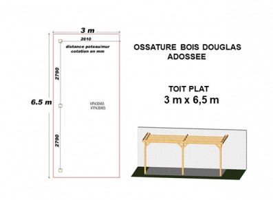 OSSATURE DOUGLAS ADOSSÉE TOIT PLAT