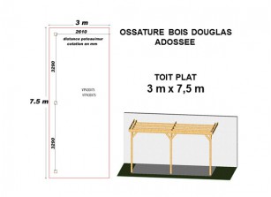 OSSATURE DOUGLAS ADOSSÉE TOIT PLAT