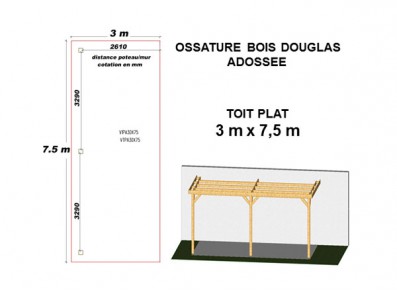 OSSATURE DOUGLAS ADOSSÉE TOIT PLAT