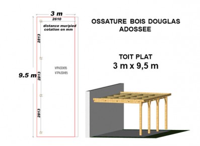 OSSATURE DOUGLAS ADOSSÉE TOIT PLAT