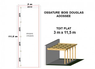 OSSATURE DOUGLAS ADOSSÉE TOIT PLAT