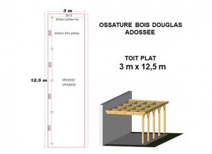 OSSATURE DOUGLAS ADOSSÉE TOIT PLAT