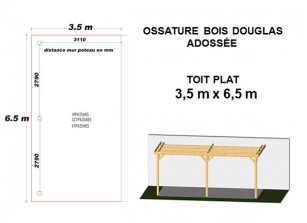 OSSATURE DOUGLAS ADOSSÉE TOIT PLAT