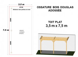 OSSATURE DOUGLAS ADOSSÉE TOIT PLAT