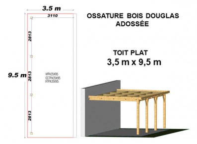 OSSATURE DOUGLAS ADOSSÉE TOIT PLAT