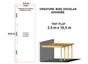 OSSATURE DOUGLAS ADOSSÉE TOIT PLAT