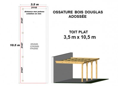 OSSATURE DOUGLAS ADOSSÉE TOIT PLAT