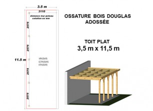 OSSATURE DOUGLAS ADOSSÉE TOIT PLAT