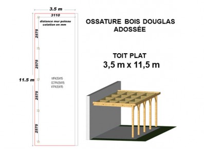 OSSATURE DOUGLAS ADOSSÉE TOIT PLAT