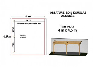 OSSATURE DOUGLAS ADOSSÉE TOIT PLAT