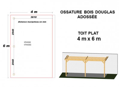 OSSATURE DOUGLAS ADOSSÉE TOIT PLAT