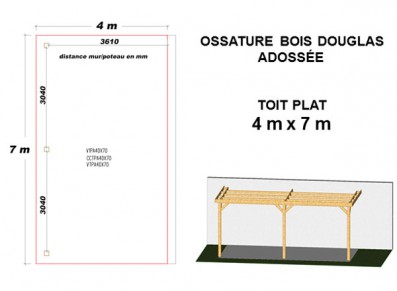 OSSATURE DOUGLAS ADOSSÉE TOIT PLAT