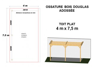 OSSATURE DOUGLAS ADOSSÉE TOIT PLAT