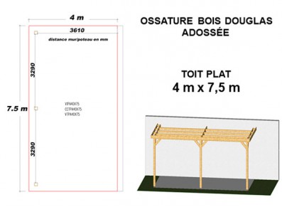 OSSATURE DOUGLAS ADOSSÉE TOIT PLAT