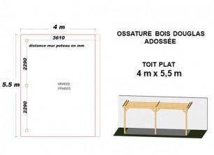 OSSATURE DOUGLAS ADOSSÉE TOIT PLAT