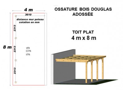 OSSATURE DOUGLAS ADOSSÉE TOIT PLAT