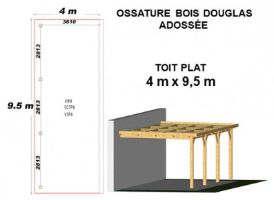 OSSATURE DOUGLAS ADOSSÉE TOIT PLAT