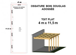 OSSATURE DOUGLAS ADOSSÉE TOIT PLAT