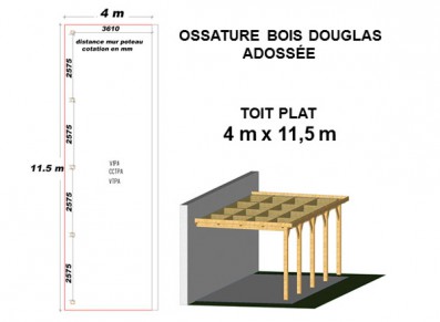 OSSATURE DOUGLAS ADOSSÉE TOIT PLAT