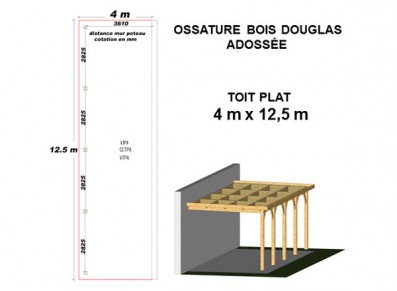 OSSATURE DOUGLAS ADOSSÉE TOIT PLAT