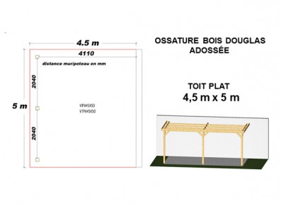 OSSATURE DOUGLAS ADOSSÉE TOIT PLAT