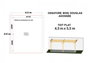 OSSATURE DOUGLAS ADOSSÉE TOIT PLAT