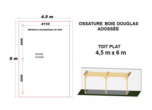 OSSATURE DOUGLAS ADOSSÉE TOIT PLAT