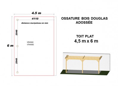 OSSATURE DOUGLAS ADOSSÉE TOIT PLAT