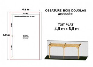 OSSATURE DOUGLAS ADOSSÉE TOIT PLAT