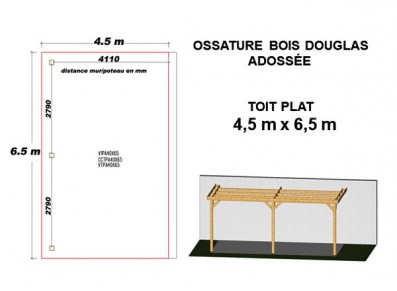 OSSATURE DOUGLAS ADOSSÉE TOIT PLAT