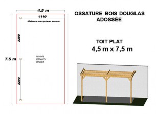 OSSATURE DOUGLAS ADOSSÉE TOIT PLAT