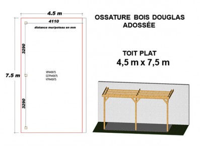 OSSATURE DOUGLAS ADOSSÉE TOIT PLAT