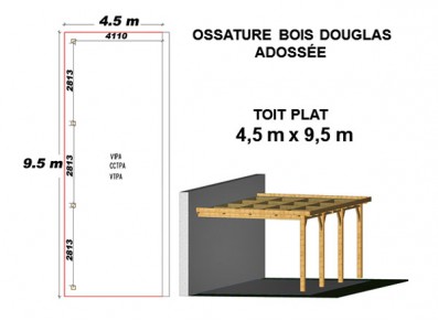 OSSATURE DOUGLAS ADOSSÉE TOIT PLAT