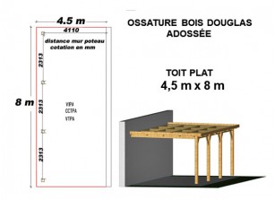 OSSATURE DOUGLAS ADOSSÉE TOIT PLAT