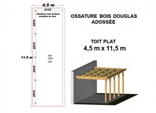 OSSATURE DOUGLAS ADOSSÉE TOIT PLAT