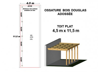 OSSATURE DOUGLAS ADOSSÉE TOIT PLAT