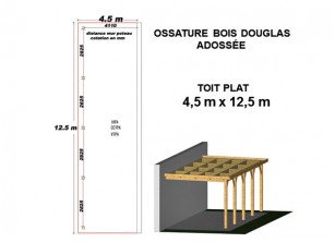 OSSATURE DOUGLAS ADOSSÉE TOIT PLAT