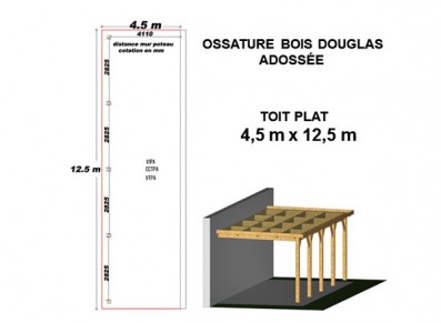 OSSATURE DOUGLAS ADOSSÉE TOIT PLAT